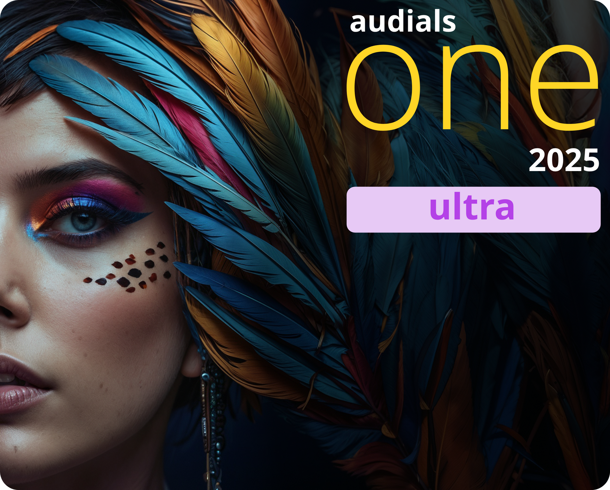 その他 Audials One 2025 Ultra Audials One 2025 Ultra – KOMODO Plaza (JP)