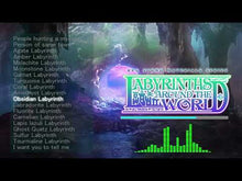 ギャラリービューアLabyrinths Around the Worldに読み込んでビデオを見る
